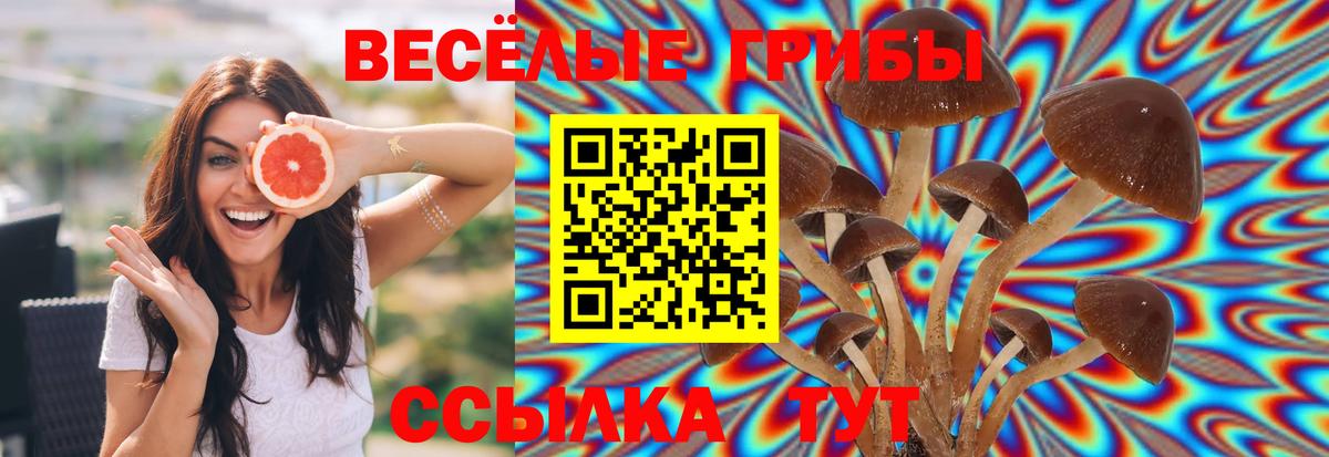 Псилоцибиновые грибы мухоморы Мыски