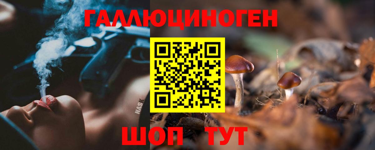 Галлюциногенные грибы Psilocybine cubensis  Вход с VPN  купить  цена  Мыски 